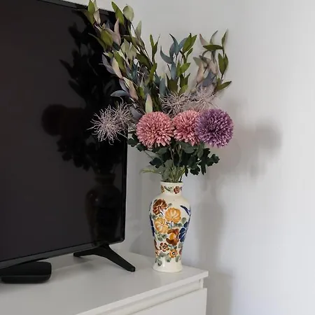 Old Market By Renters *